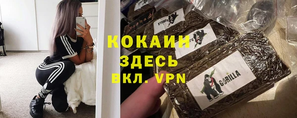 PSILOCYBIN Абдулино