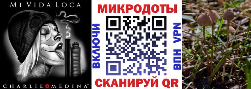 Галлюциногенные грибы ЛСД закладка Инта